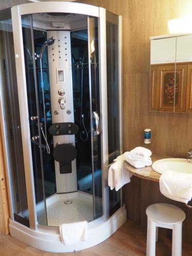 y baño con ducha junto a un lavabo. en Hotel zum Friedl, en Riedlhütte