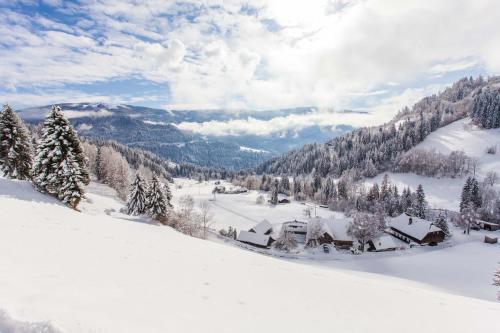 a snow covered mountain with houses and trees at Bodnerhof in Arriach