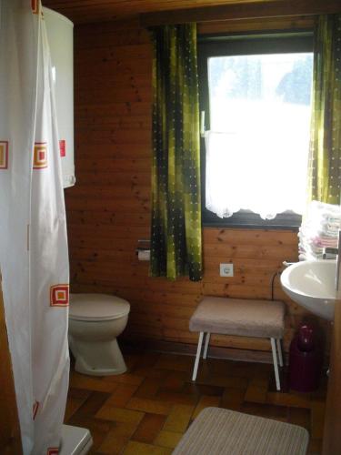a bathroom with a toilet and a sink and a window at Ferienhaus Schallerhof in Kupferberg