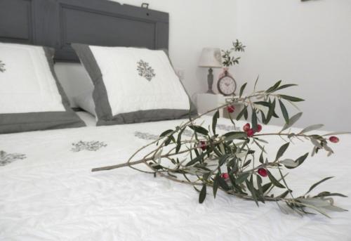 a plant sitting on top of a bed at La Villa Aux Oliviers in Flayosc