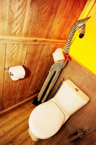 une salle de bain avec des toilettes et un rouleau de papier toilette dans l'établissement Kimaro Farmhouse, à Colméry