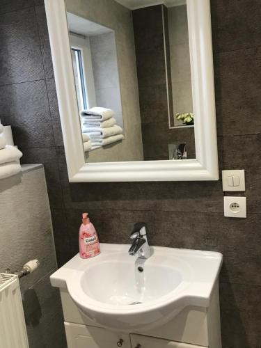 Un baño con lavabo, espejo y toallas. en Maison avec terrasse Colmar Centre-Cottage garden terrace Center Old Town Colmar, en Colmar