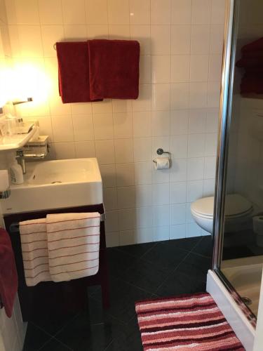 a bathroom with a sink and a toilet at Villa 't Haasduin in Wijk aan Zee