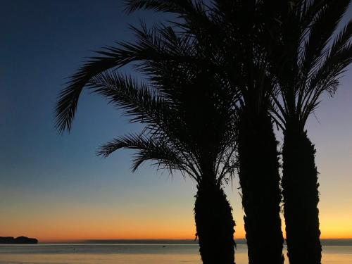 Apartamentos Paraíso Mar – Photos 4