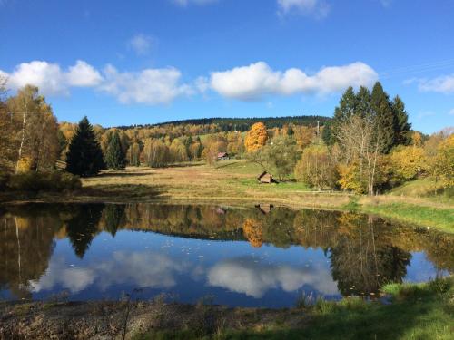 einem Teich inmitten eines Feldes mit Bäumen in der Unterkunft Apartmány no.823 in Bublava