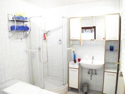 ein Bad mit einer Dusche und einem Waschbecken in der Unterkunft Ferienwohnung Botschafter in Wendelstein