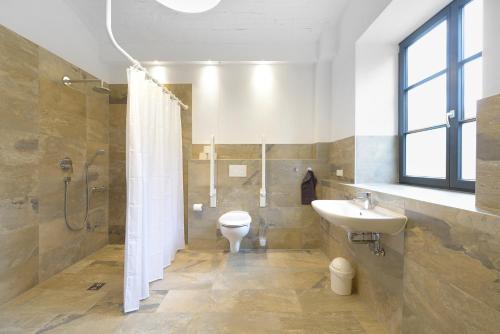 e bagno con doccia, servizi igienici e lavandino. di Herberge Hof Armada a Wiesbaden