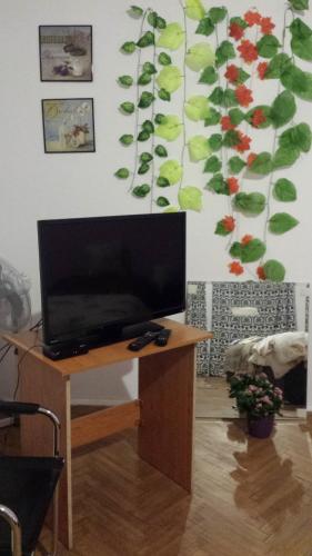 索非亞的住宿－索非亞美麗之星住宿加早餐旅館，桌子上的电视机,墙上挂着植物