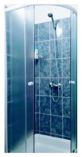 eine Dusche mit Glastür und Duschkopf in der Unterkunft Studio Leonidas Vis in Vis