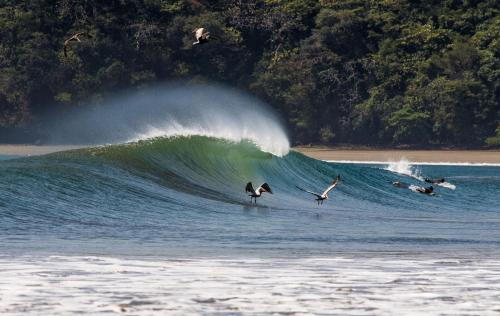 a group of surfers riding a wave in the ocean at Beach Break Hotel & Surf Camp de Playa Venao in Playa Venao