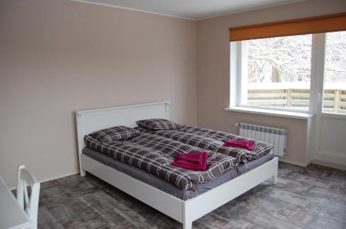 um quarto com uma cama com almofadas vermelhas e uma janela em Kaunis Guesthouse em Taline