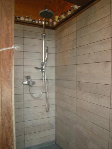 a shower with a shower head in a bathroom at La Maison sur la Colline in Mauroux