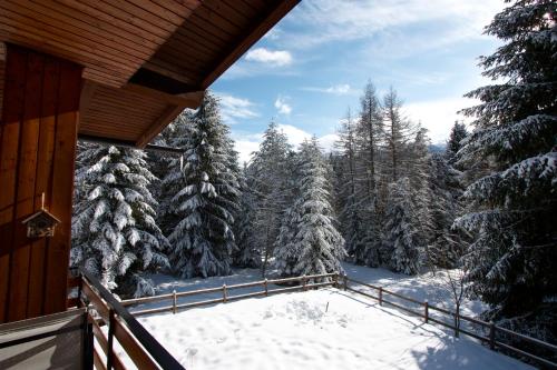 a balcony of a house with snow covered trees at Villa La Brisa in Predazzo
