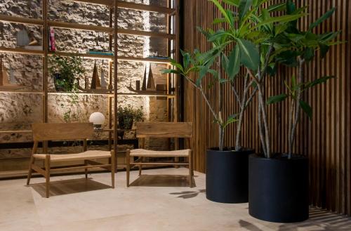 a room with two potted plants and a table and chairs at AQ Tailored Suites in Buenos Aires