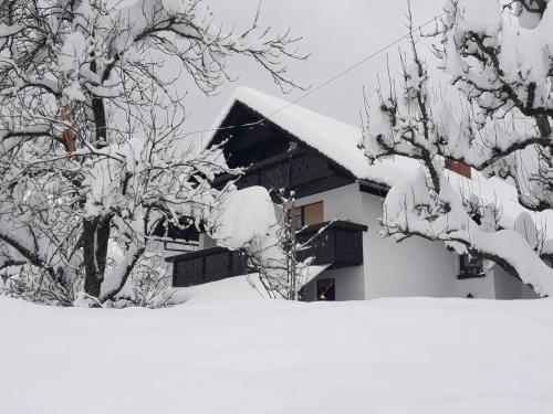 a house covered in snow next to two trees at Snežak (Snowman) in Bohinj