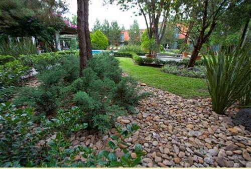 un jardín con rocas, plantas y árboles en Hotel Gobernador en Durango