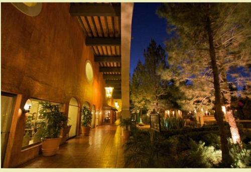 un pasillo de un edificio con plantas y árboles en Hotel Gobernador, en Durango