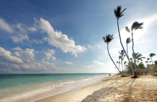 een zandstrand met palmbomen en de oceaan bij Grand Palladium Punta Cana Resort & Spa - All Inclusive in Punta Cana