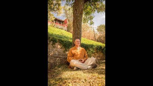 a man sitting on the ground under a tree at Casa Estrella de la Valenciana Hotel Boutique in Guanajuato