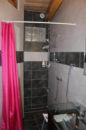 a bathroom with a shower with a pink shower curtain at maison de la salamandre in Ribes