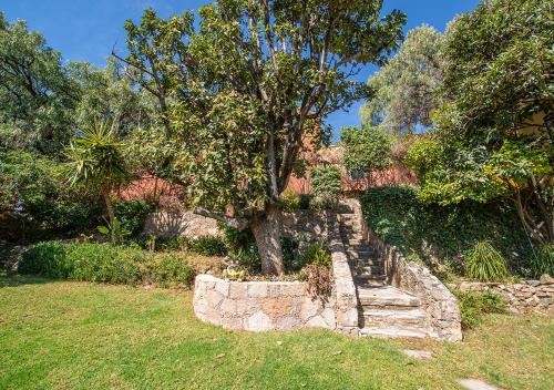 a tree sitting on top of a stone staircase at Casa Estrella de la Valenciana Hotel Boutique in Guanajuato