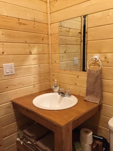 a bathroom with a sink and a mirror at Last Spike Lodging in Malakwa