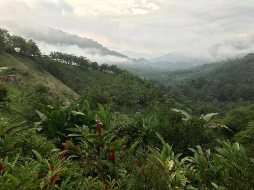 a view of a valley with mountains in the background at Reserva Natural Tierra Adentro in Minca