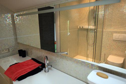 a bathroom with a sink and a shower with a red towel at La Petite Bruyere De Renaix in Ronse