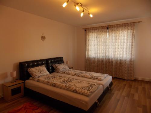 1 dormitorio con cama y ventana grande en Morning Star, en Sfântu-Gheorghe