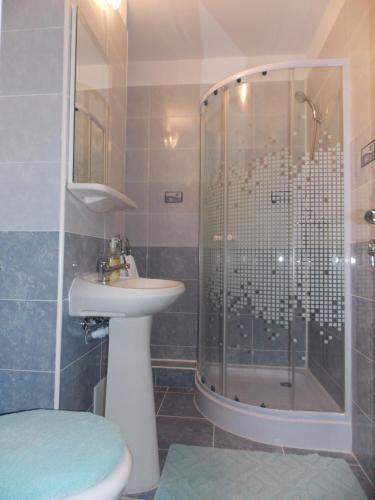 y baño con ducha, lavabo y aseo. en Morning Star, en Sfântu-Gheorghe