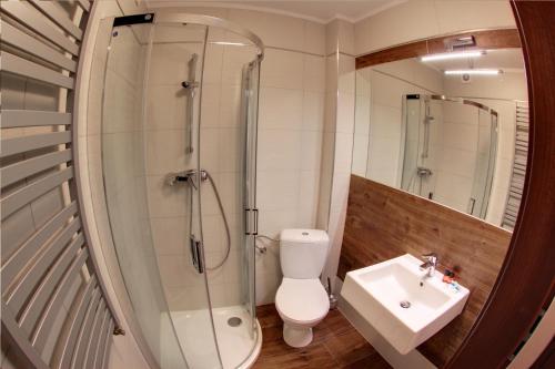 a bathroom with a shower and a toilet and a sink at Leśna Chata in Cieszanów