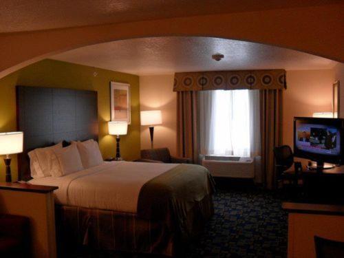 a hotel room with a large bed and a television at Holiday Inn Express and Suites Urbandale Des Moines by IHG in Urbandale