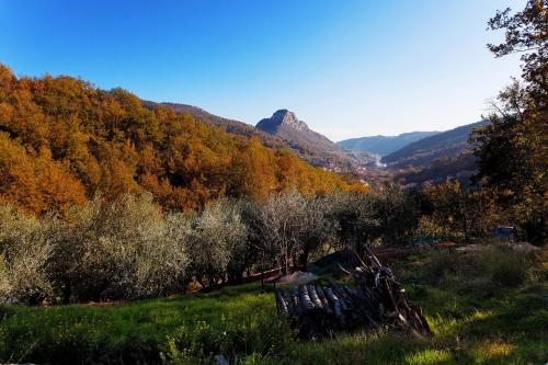 a view of a valley with trees and a mountain at Locanda Piemontese in Calice Ligure