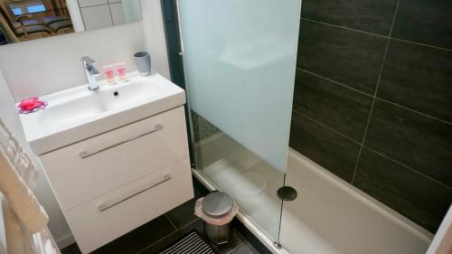 La petite salle de bains est pourvue d'un lavabo et d'une douche. dans l'établissement Little Suite - Prisca, à Lille