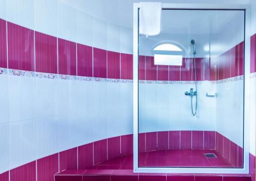 a red and white bathroom with a shower at Castelul de Vis in Petroşani