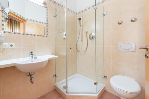 a bathroom with a shower and a toilet and a sink at Hotel Landgasthof Hofmeier in Hetzenhausen