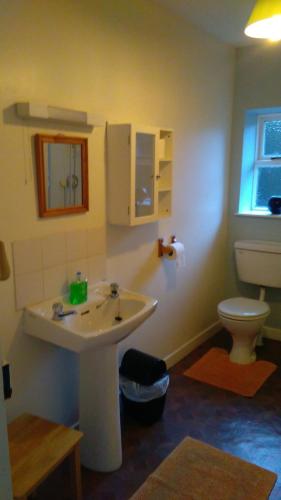 a bathroom with a sink and a toilet at Ardtarmon Garden Cottage in Sligo