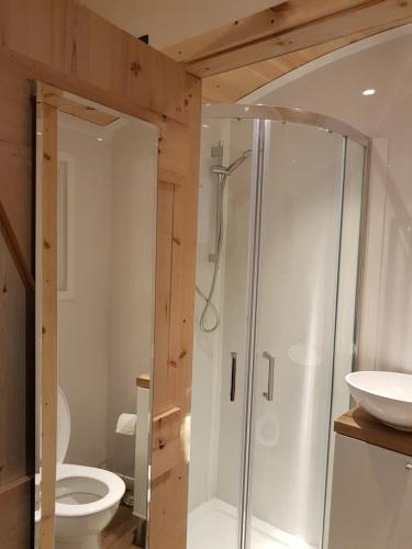 a bathroom with a shower and a toilet and a sink at Waterside Shepherds Hut in York