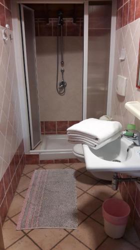 a bathroom with a shower and a toilet and a sink at La Casa Rossa in Riola Sardo