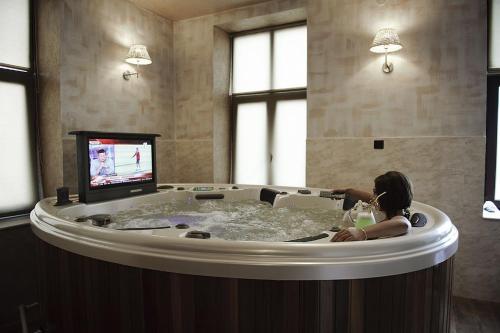 Телевизор и/или развлекательный центр в Hotel Carol - Vatra Dornei