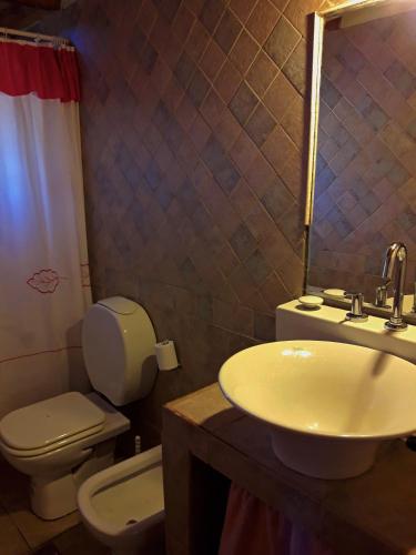a bathroom with a white toilet and a sink at Edelweiss in Caviahue