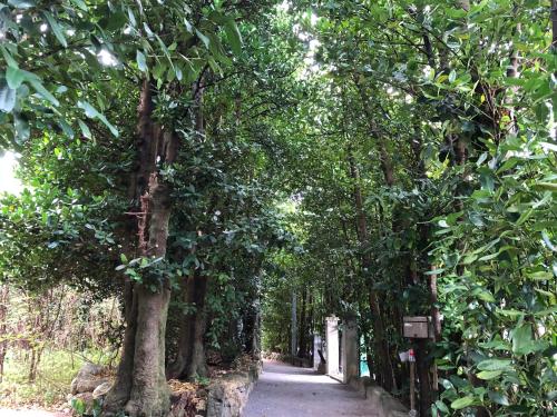 Un jardín fuera de Mannaya -SEVEN Hotels and Resorts-