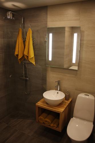 Kesklinna Apartement tesisinde bir banyo