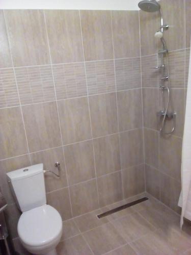 a bathroom with a toilet and a shower at Napraforgó Vendégház in Mezőkövesd