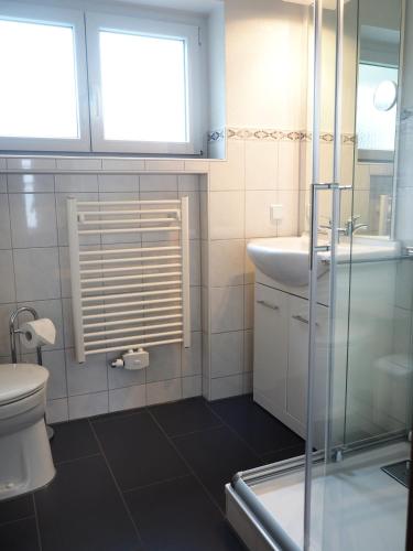 a bathroom with a toilet and a sink at Haus Antonius - Bergbahnticket von Mai bis November inklusive! in Oberstdorf