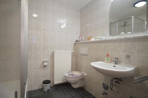 a bathroom with a toilet and a sink at Ferienwohnung Erholung am Hainich in Bischofroda