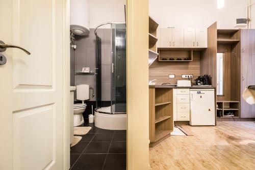 ブダペストにあるDombóvári way apartmanのキッチン(シンク付)、トイレが備わります。