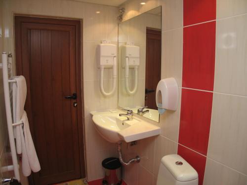 ein Badezimmer mit einem Waschbecken, einem WC und einem Spiegel in der Unterkunft Family Hotel Yagoda88 in Sofia