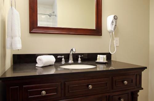 a bathroom sink with a mirror above it at Lamothe House Hotel a French Quarter Guest Houses Property in New Orleans