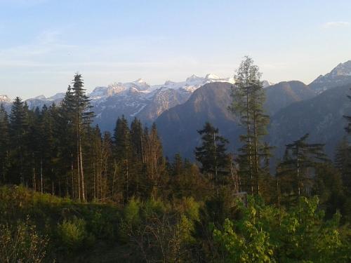 a view of a mountain range with trees and mountains at Ferienwohnung am Bauernhof Koa in Bad Goisern